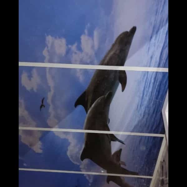1720852430328.webp