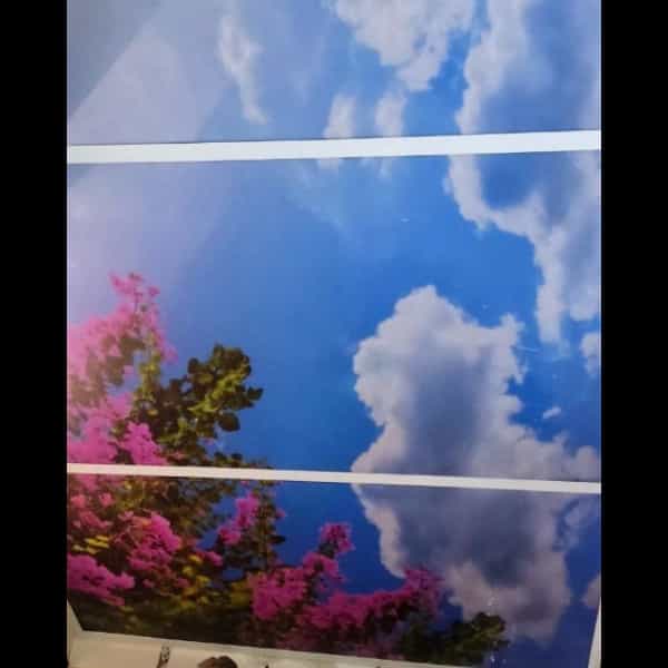 1720852466880.webp